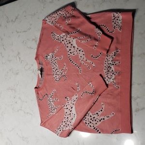 EUC Ann Taylor LOFT Sweater